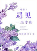遇见一座冰山(网游)