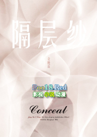 隔层纱(1v1高H)