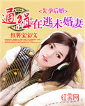 先婚后孕:通缉在逃未婚妻